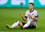 开云体育平台APP-德国迎战罗马尼亚能否凭借主场优势获得胜利？的简单介绍