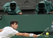 开云平台-包含温网逆转法网，阿尔卡拉斯高光表现的词条