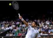 开云APP-美网绝杀温网，德约科维奇点燃赛场