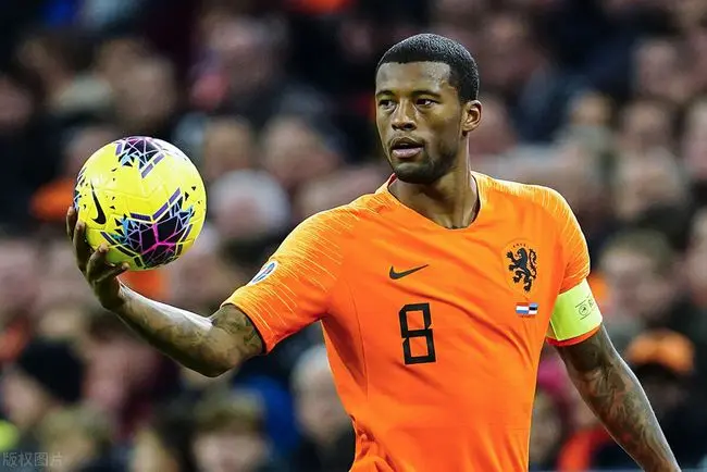 荷兰击败乌克兰,晋级形势一片大好的简单介绍 荷兰击败乌克兰,晋级形势一片大好的简单介绍