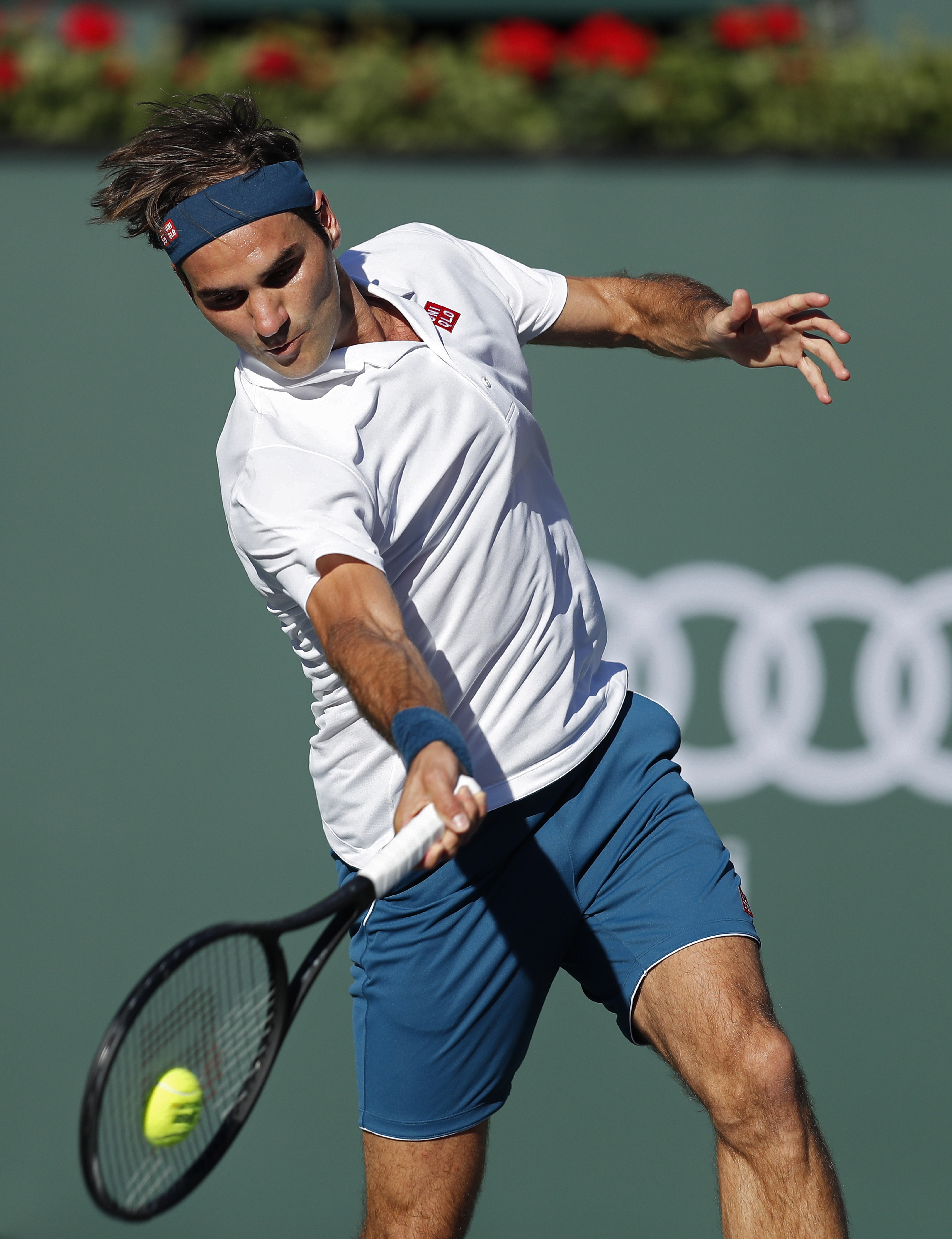 包含ATP总决赛横扫澳网，蒂姆高光表现的词条