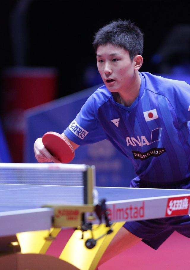 关于中国队绝杀英格兰队，张本智和关键制胜的信息