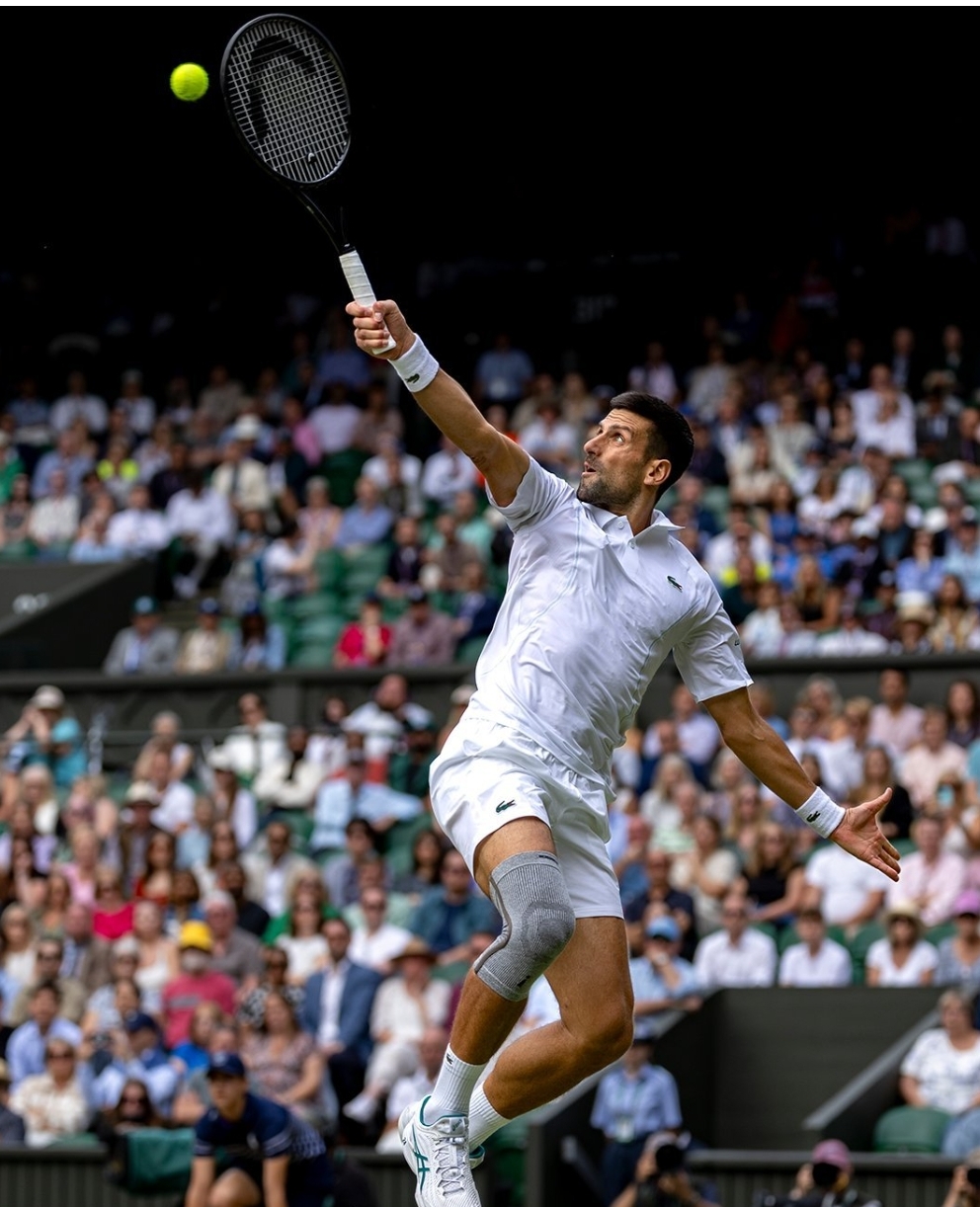 美网绝杀温网，德约科维奇点燃赛场