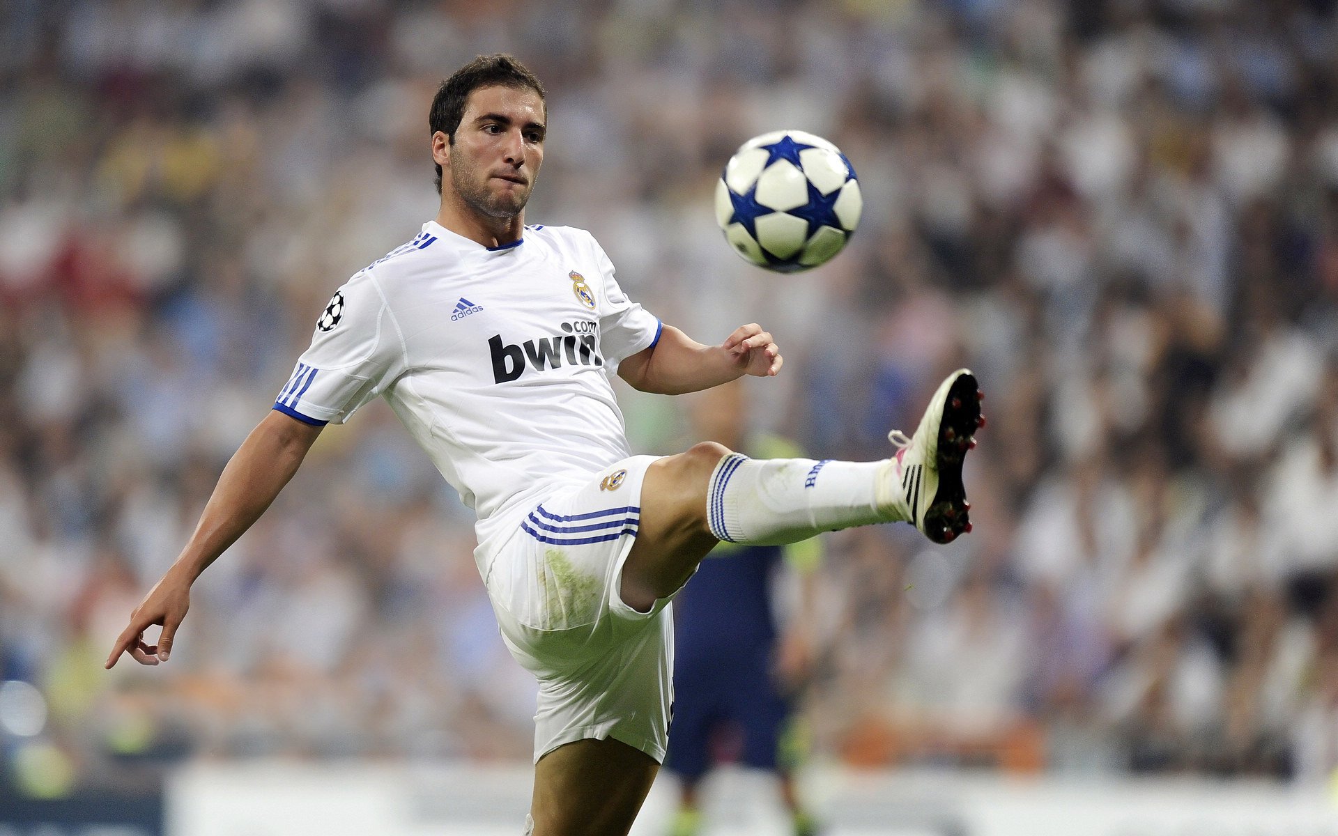 暗夜极速,武切维奇在F1街道赛的钢铁防线